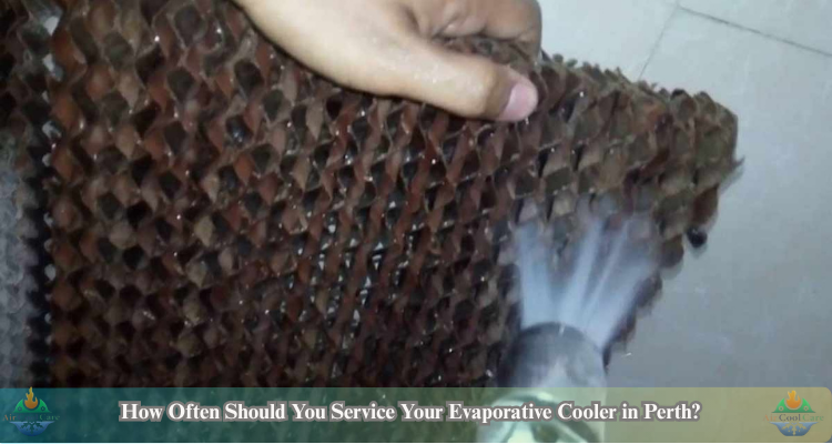 Cleaning evaporative cooler filter